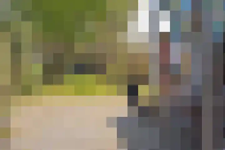 Heirweg 4 Geulle thumbnail 35