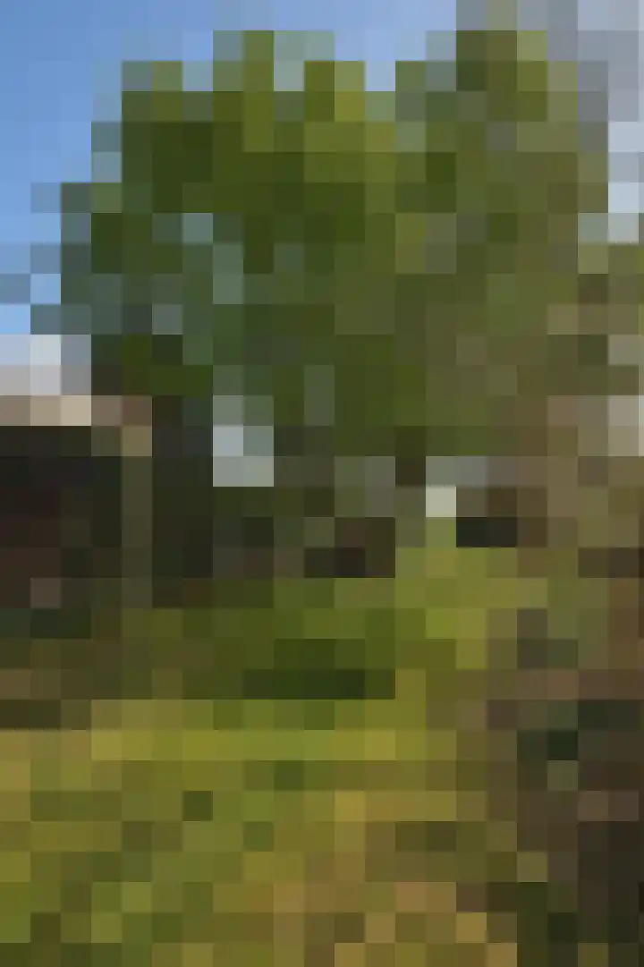 Heirweg 4 Geulle thumbnail 36