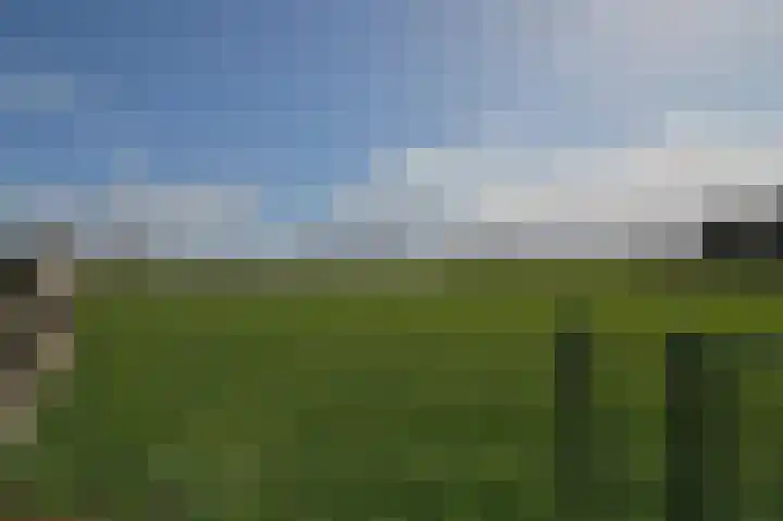 Heirweg 4 Geulle thumbnail 38