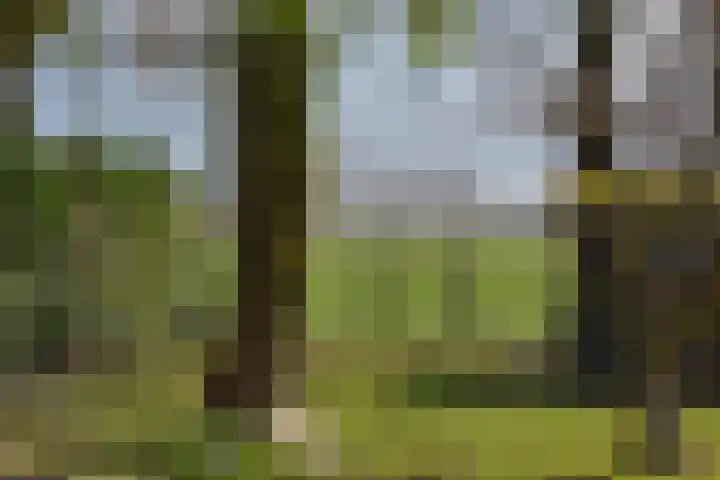 Heirweg 4 Geulle thumbnail 39
