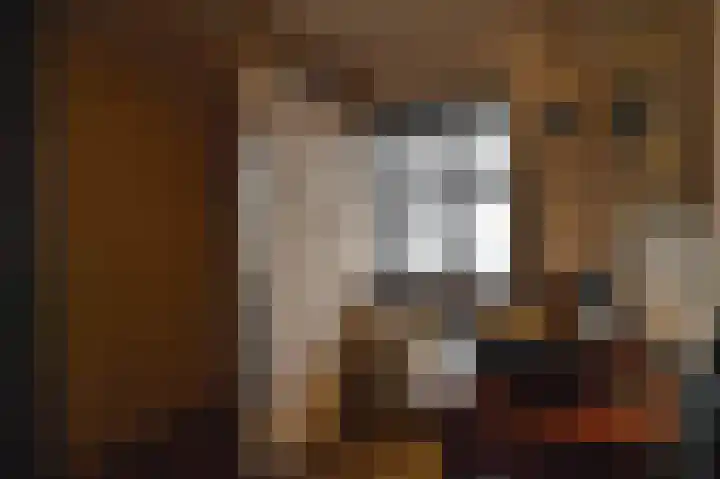 Heirweg 4 Geulle thumbnail 51
