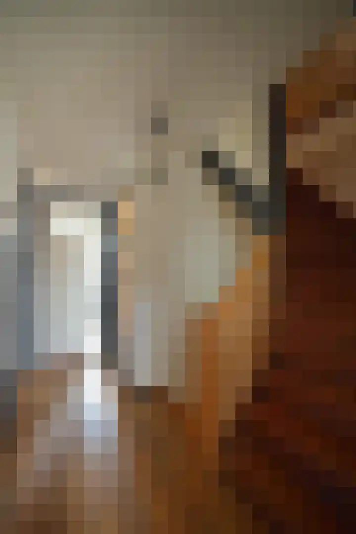 Heirweg 4 Geulle thumbnail 55