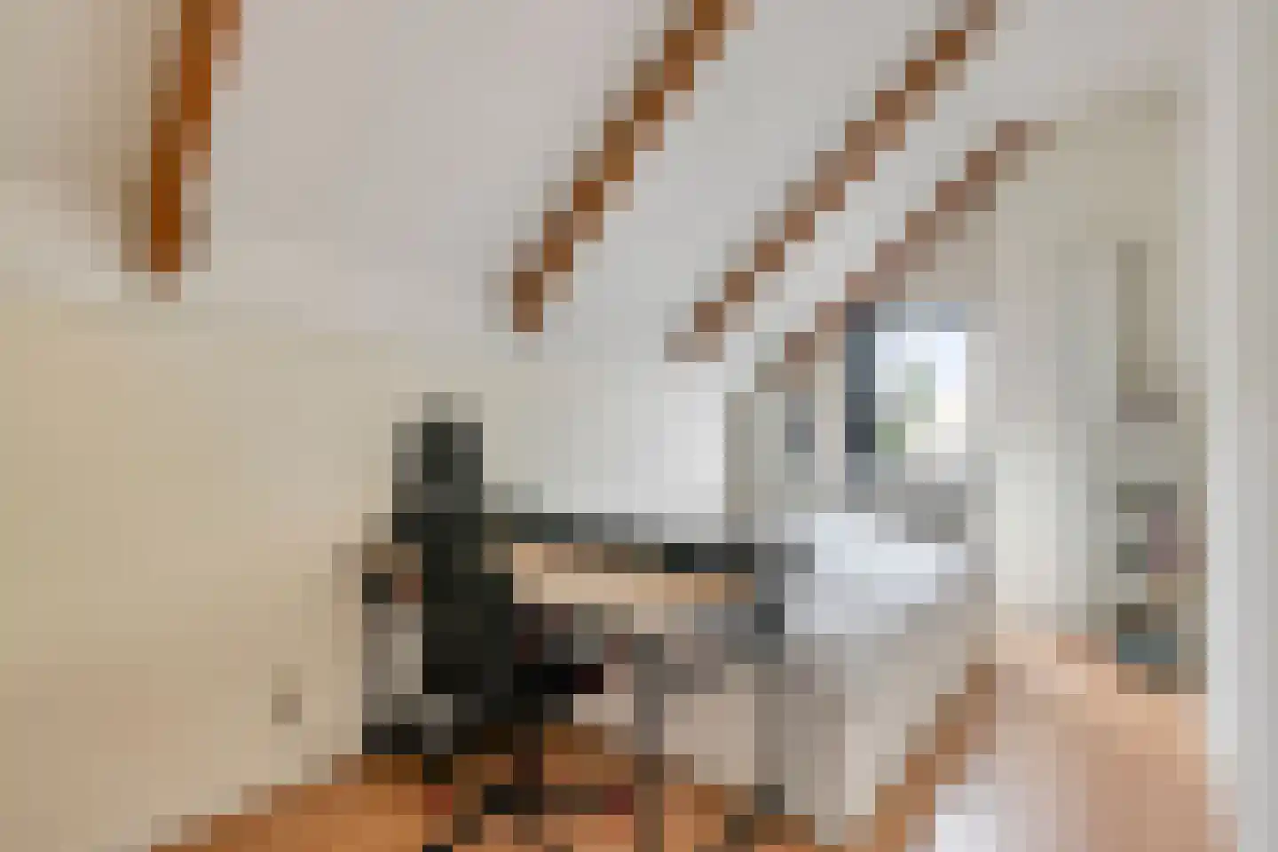 Heirweg 48 Huissen thumbnail 15