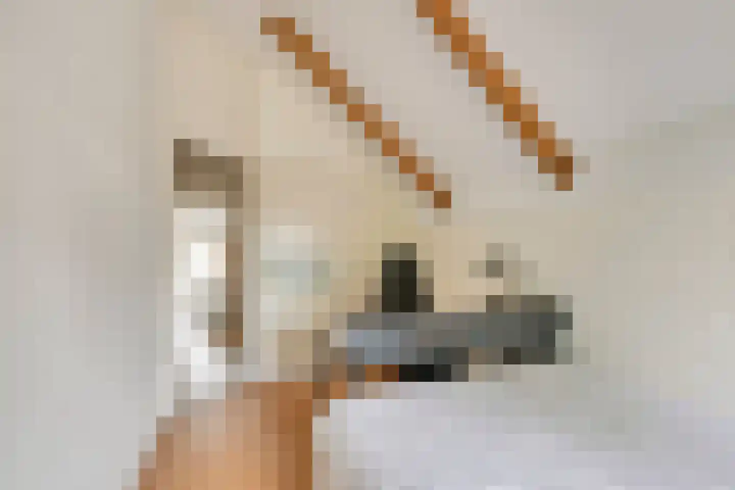 Heirweg 48 Huissen thumbnail 16