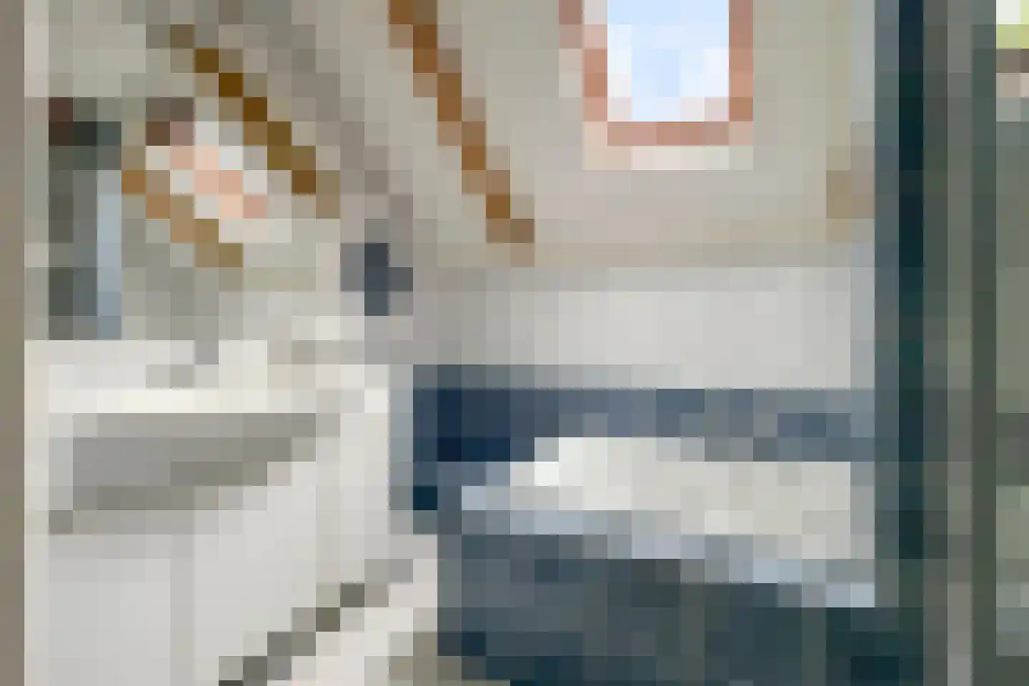 Heirweg 48 Huissen thumbnail 18