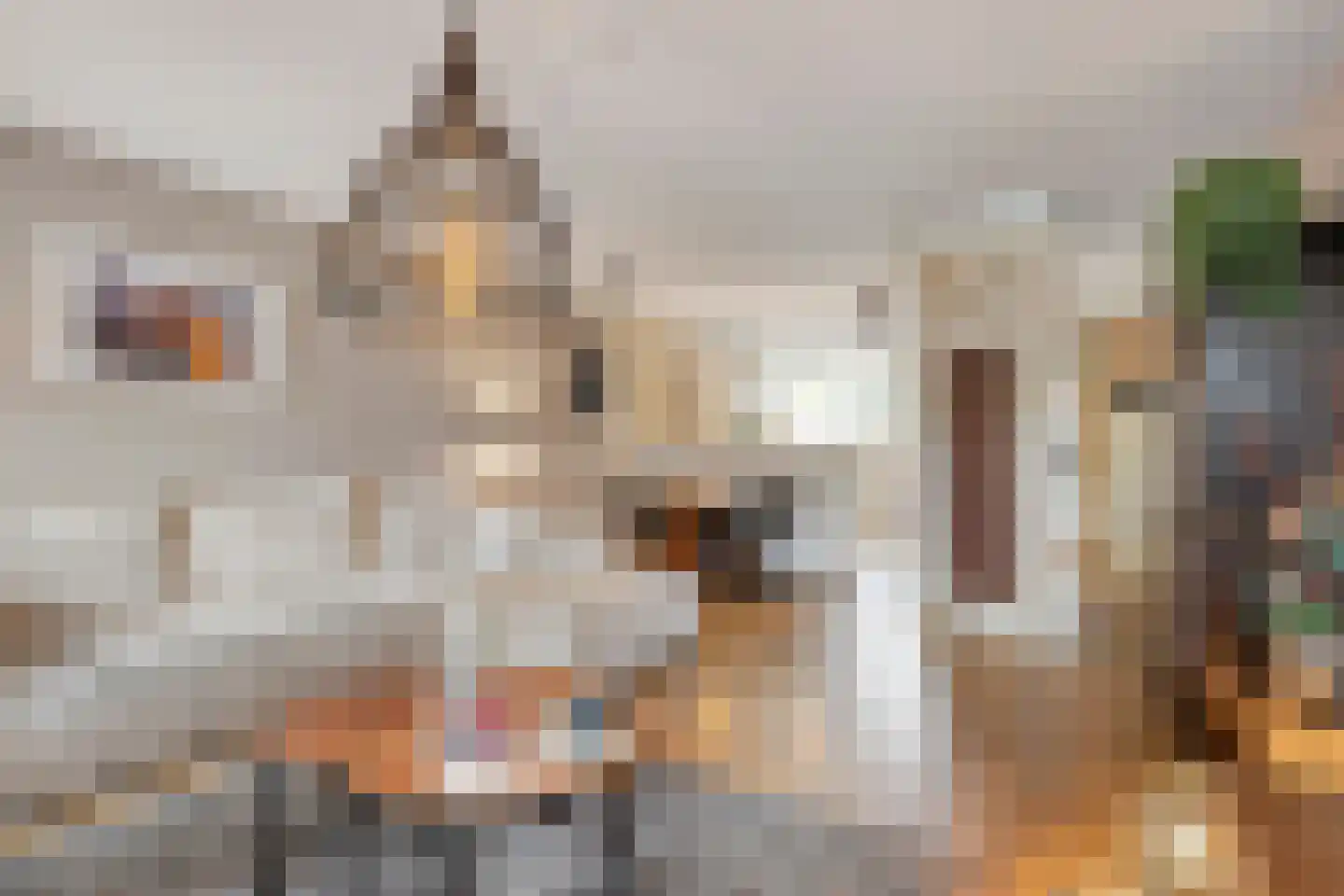 Heirweg 48 Huissen thumbnail 8