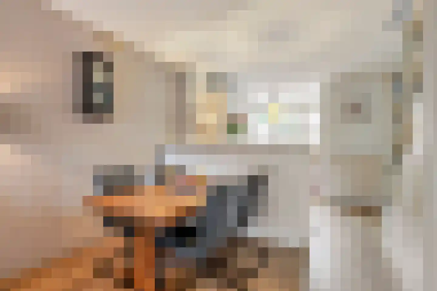 Heirweg 48 Huissen thumbnail 9