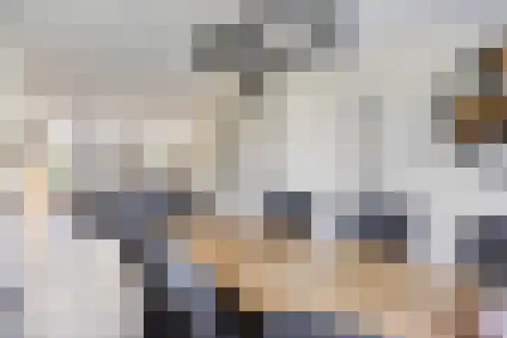 Heischeuthof 4 Oss thumbnail 10
