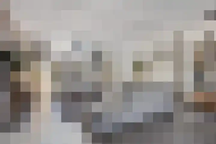 Heischeuthof 4 Oss thumbnail 12