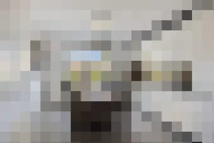Heischeuthof 4 Oss thumbnail 14