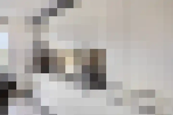 Heischeuthof 4 Oss thumbnail 15