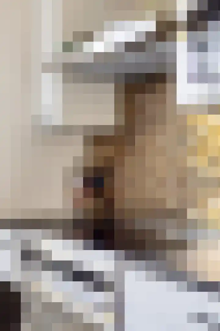 Heischeuthof 4 Oss thumbnail 16
