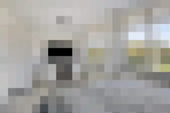 Heischeuthof 4 Oss thumbnail 22