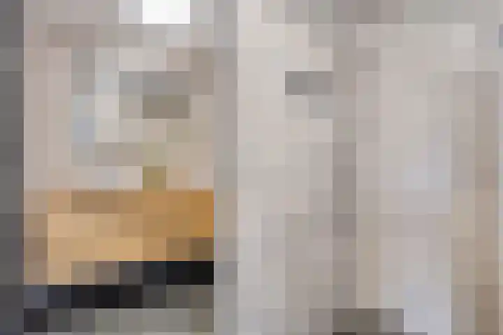 Heischeuthof 4 Oss thumbnail 24