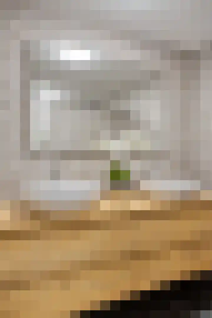 Heischeuthof 4 Oss thumbnail 26