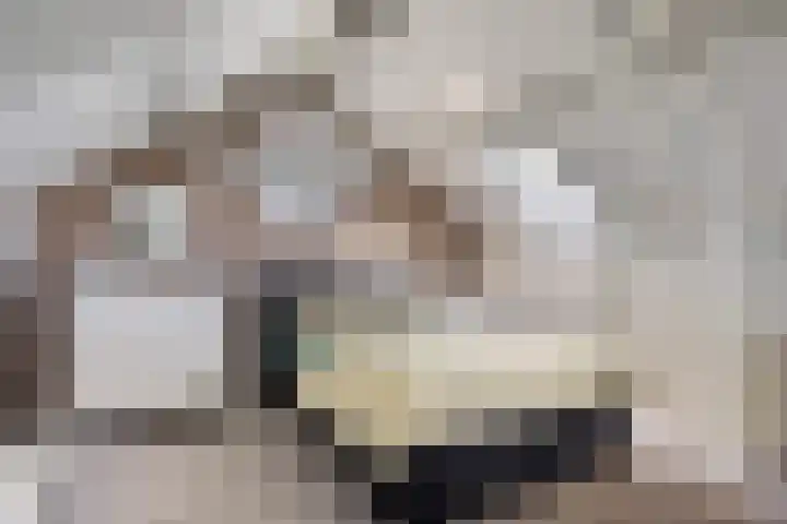 Heischeuthof 4 Oss thumbnail 27