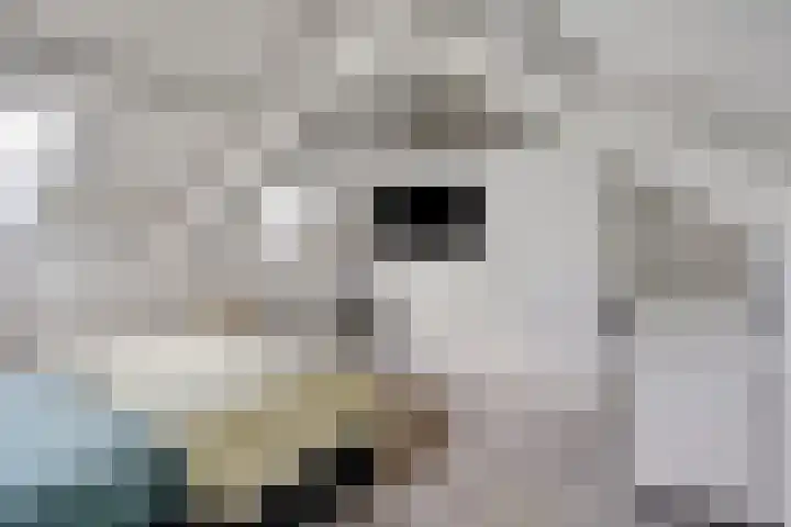 Heischeuthof 4 Oss thumbnail 28