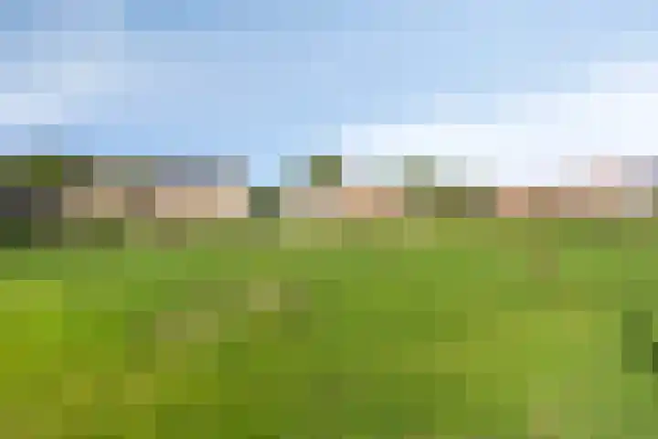 Heischeuthof 4 Oss thumbnail 38