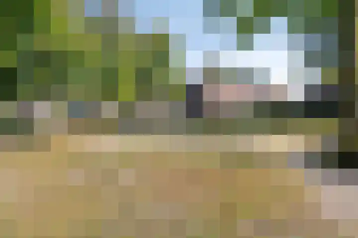 Heischeuthof 4 Oss thumbnail 39