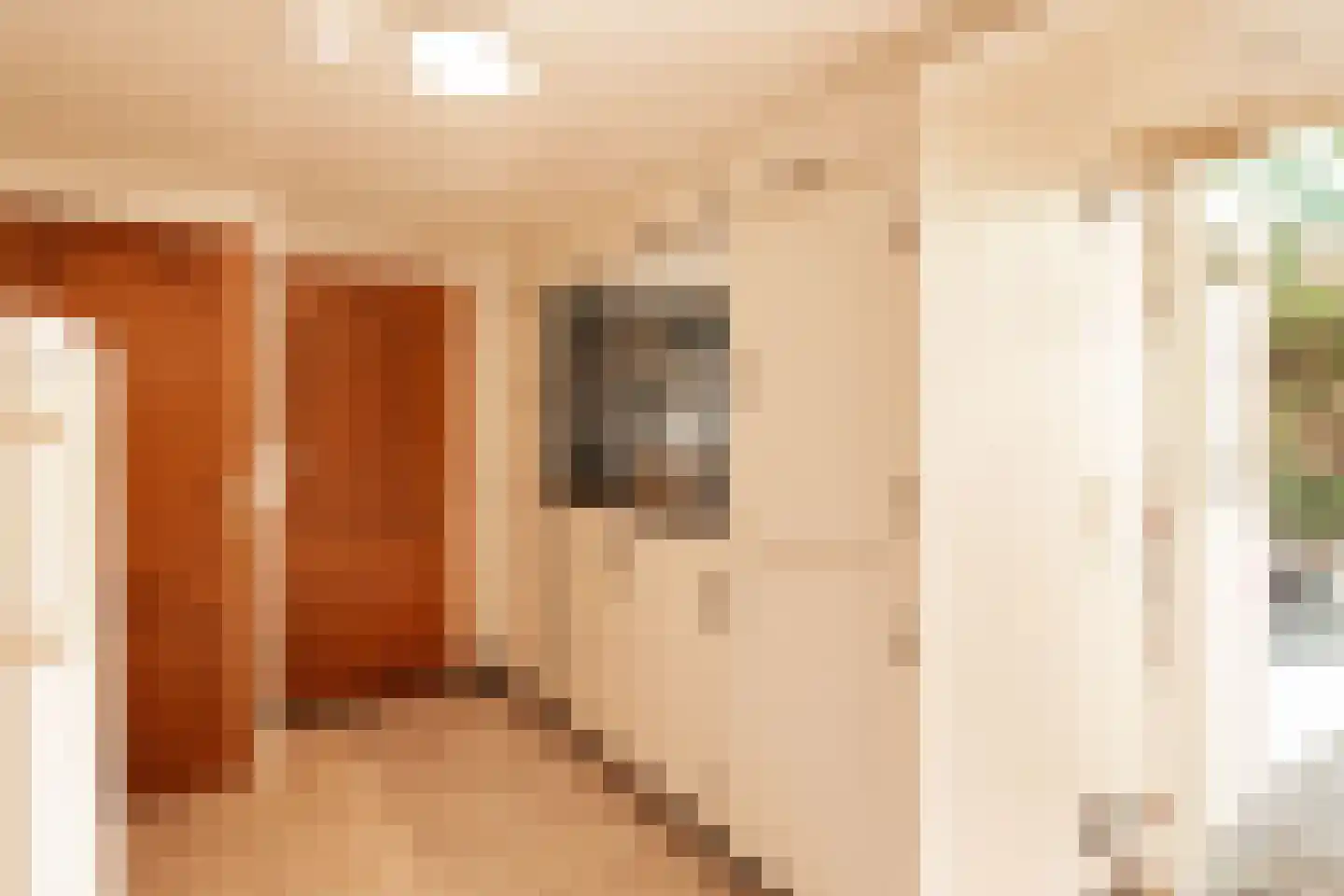 Heischeutstraat 20 A Oss thumbnail 12