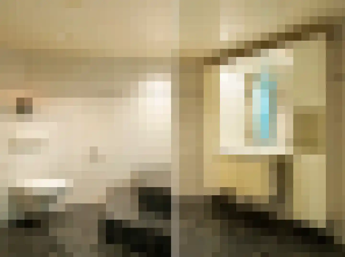 Heischeutstraat 20 A Oss thumbnail 14