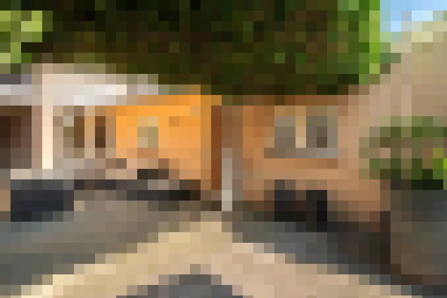 Heischeutstraat 20 A Oss thumbnail 21