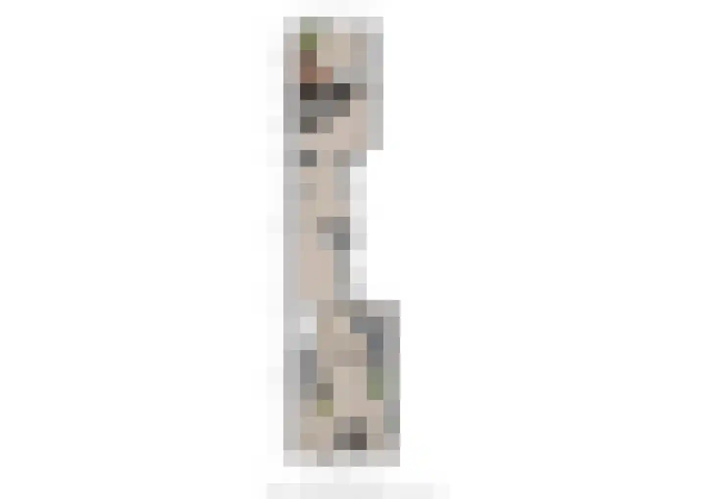 Heischeutstraat 20 A Oss thumbnail 24