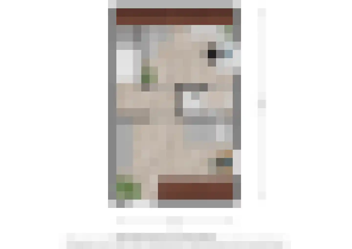 Heischeutstraat 20 A Oss thumbnail 25