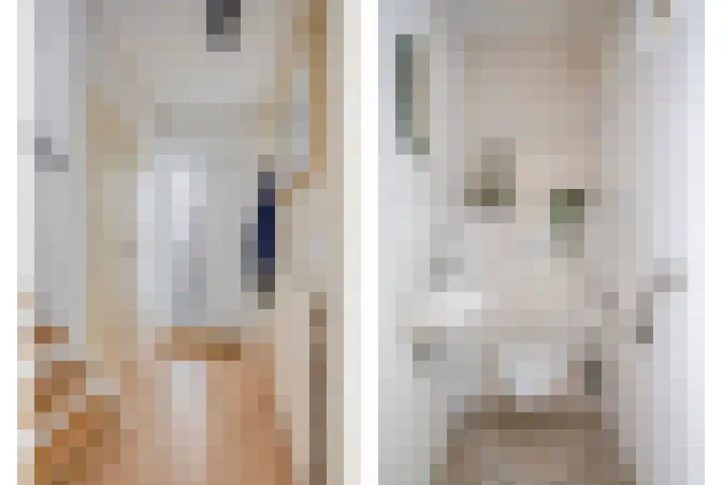 Heischeutstraat 235 Oss thumbnail 10