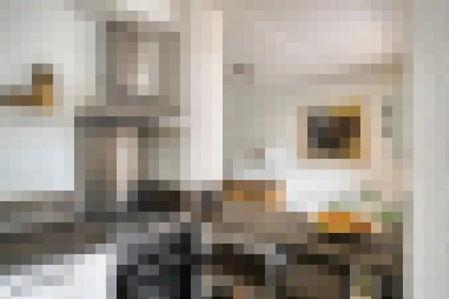 Heischeutstraat 235 Oss thumbnail 15