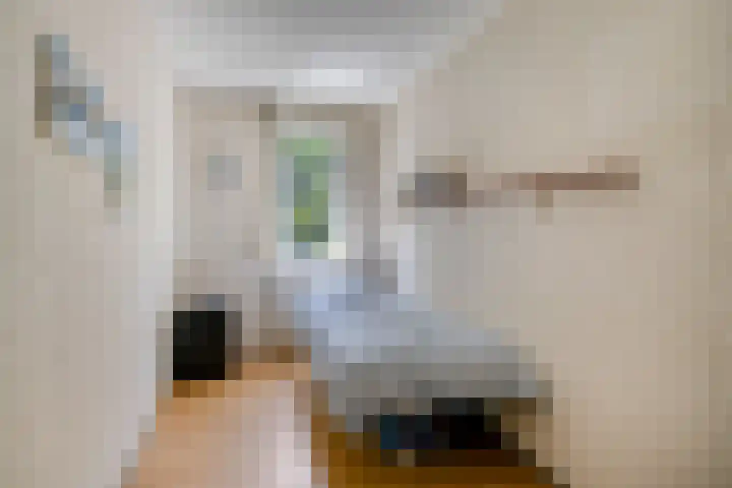 Heischeutstraat 235 Oss thumbnail 21
