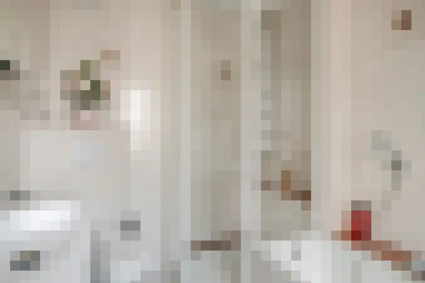 Heischeutstraat 235 Oss thumbnail 22