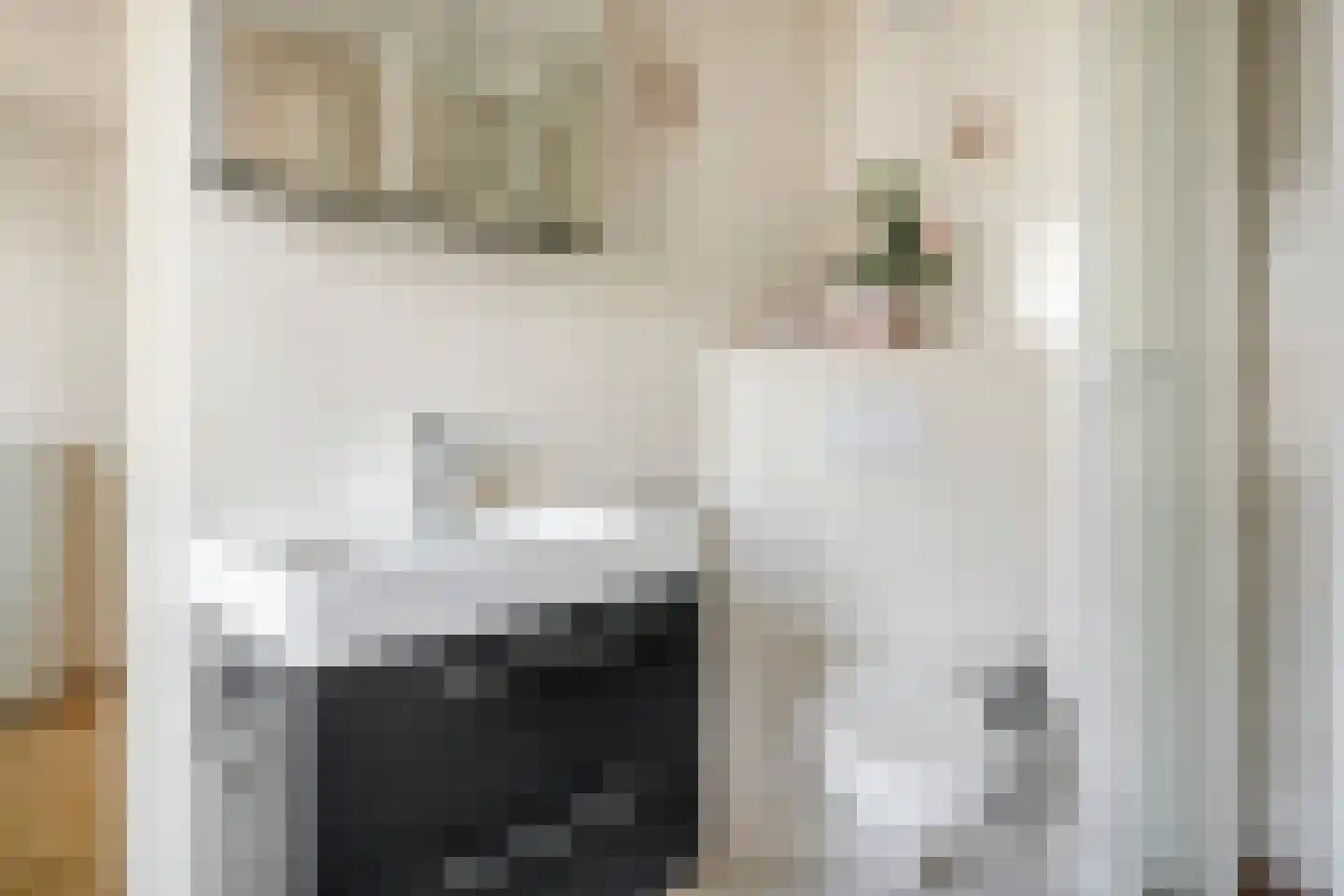 Heischeutstraat 235 Oss thumbnail 24