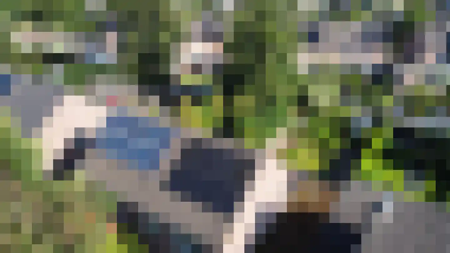 Heischeutstraat 235 Oss thumbnail 32