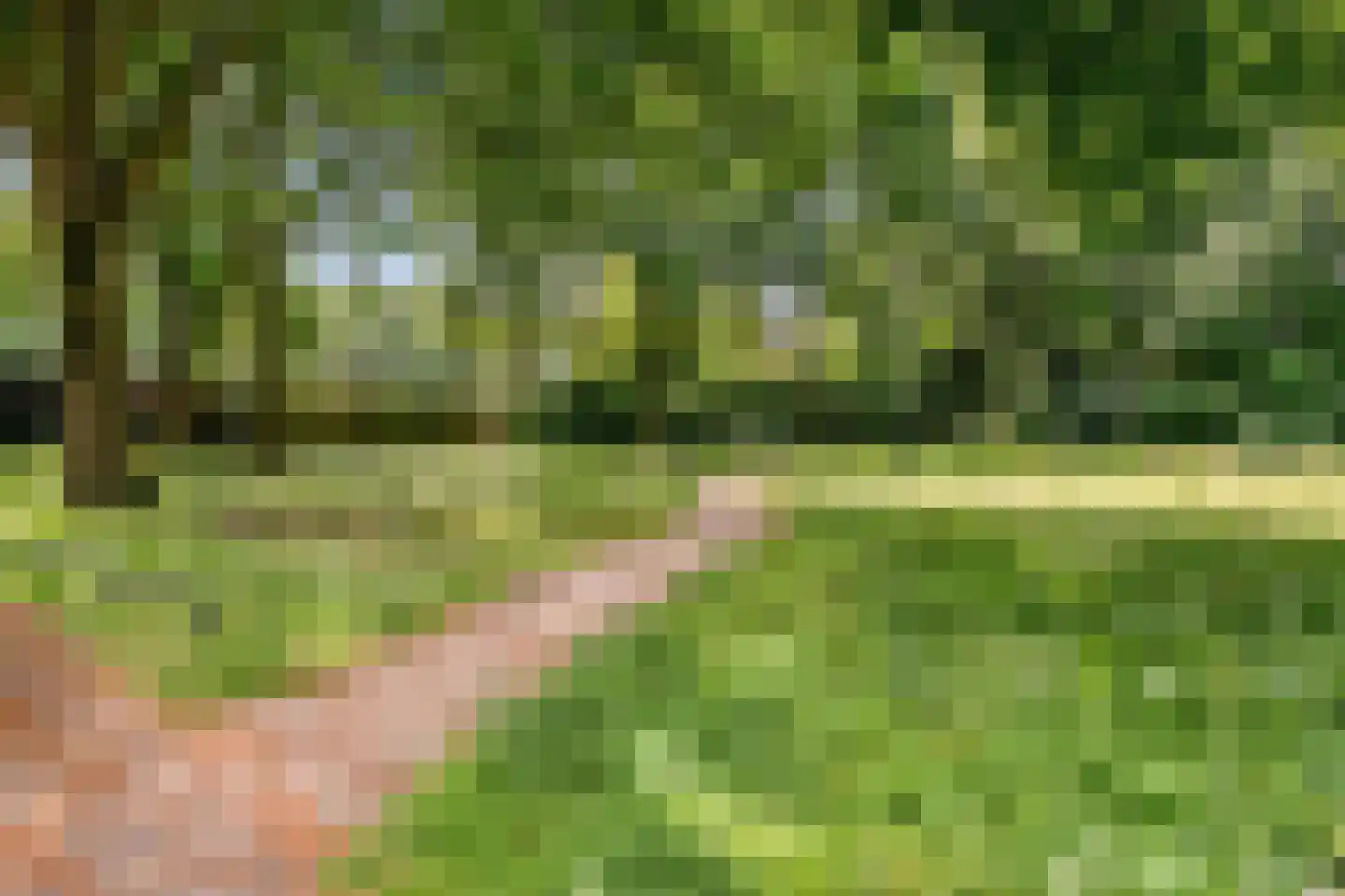 Heischeutstraat 235 Oss thumbnail 33