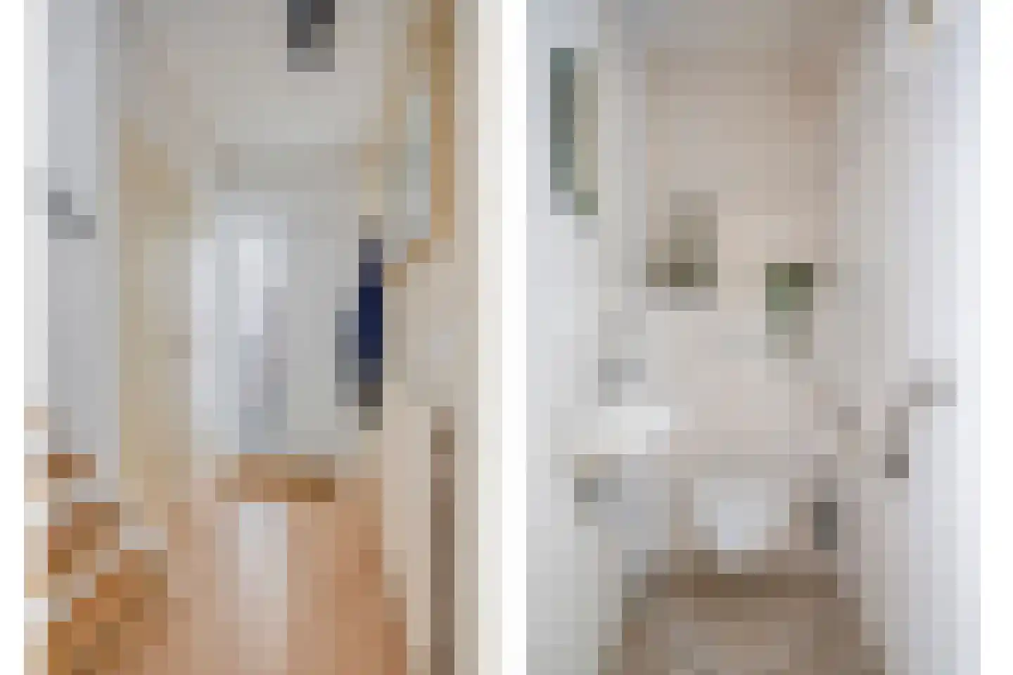 Heischeutstraat 235 Oss thumbnail 8
