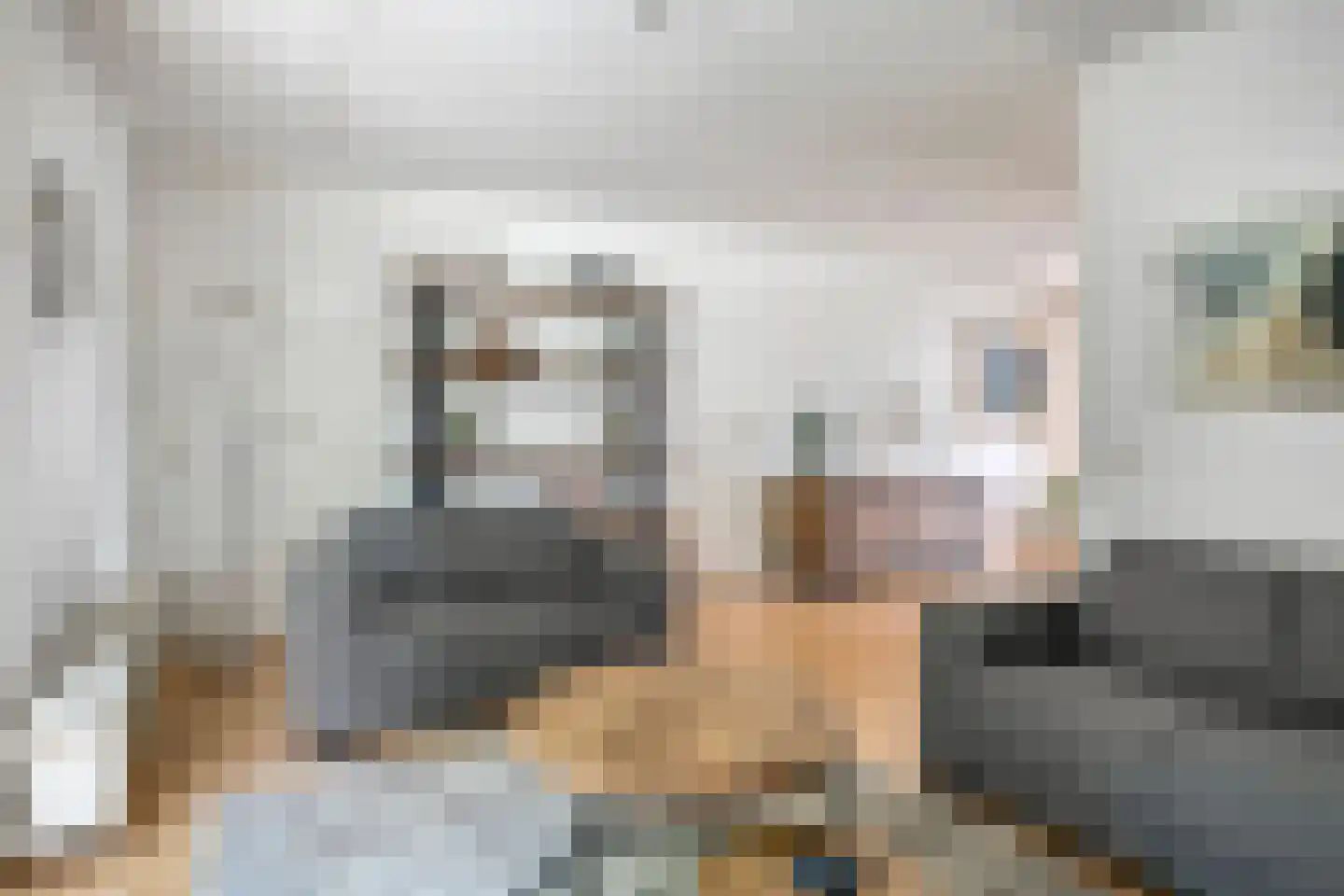 Heischeutstraat 235 Oss thumbnail 9