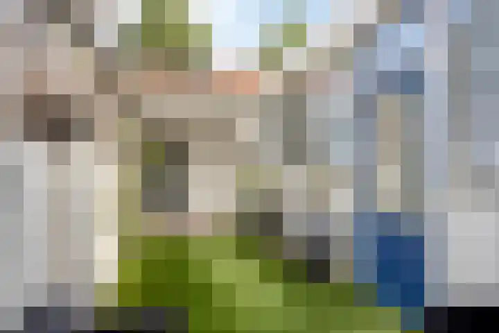 Heischeutstraat 49 Oss thumbnail 17