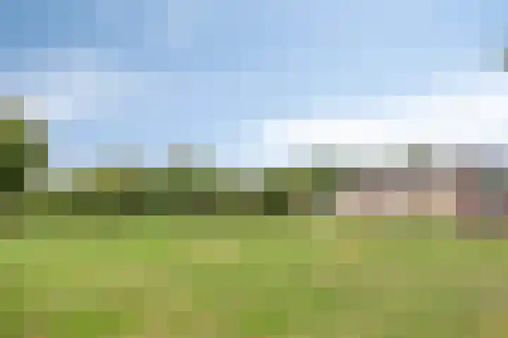 Heischeutstraat 49 Oss thumbnail 22