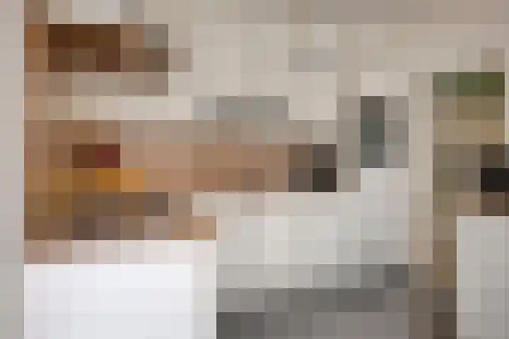 Heischeutstraat 49 Oss thumbnail 8