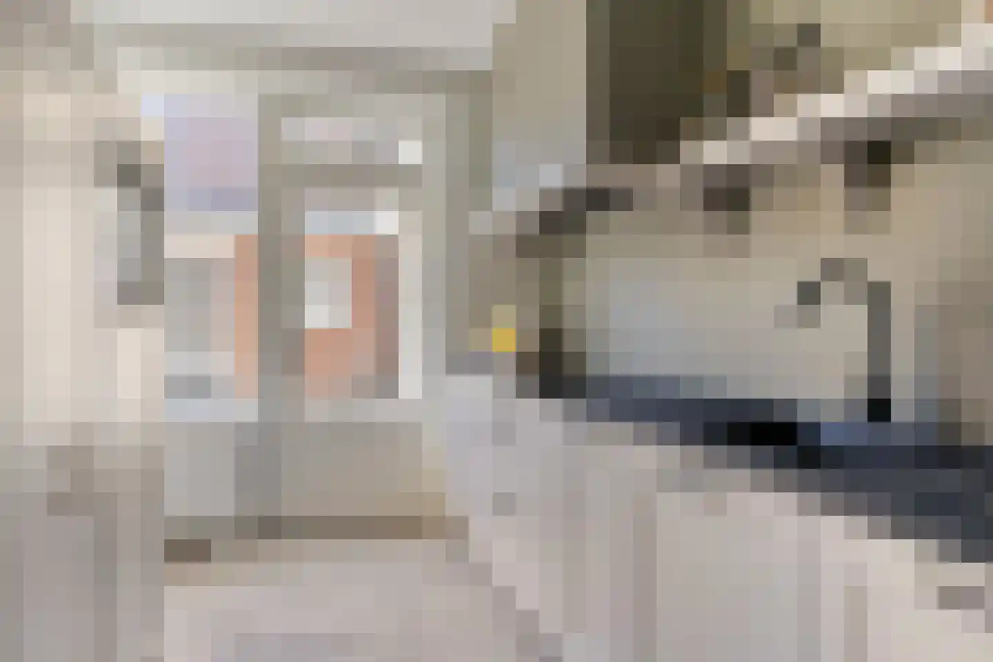 Heischeutstraat 5 Oss thumbnail 13