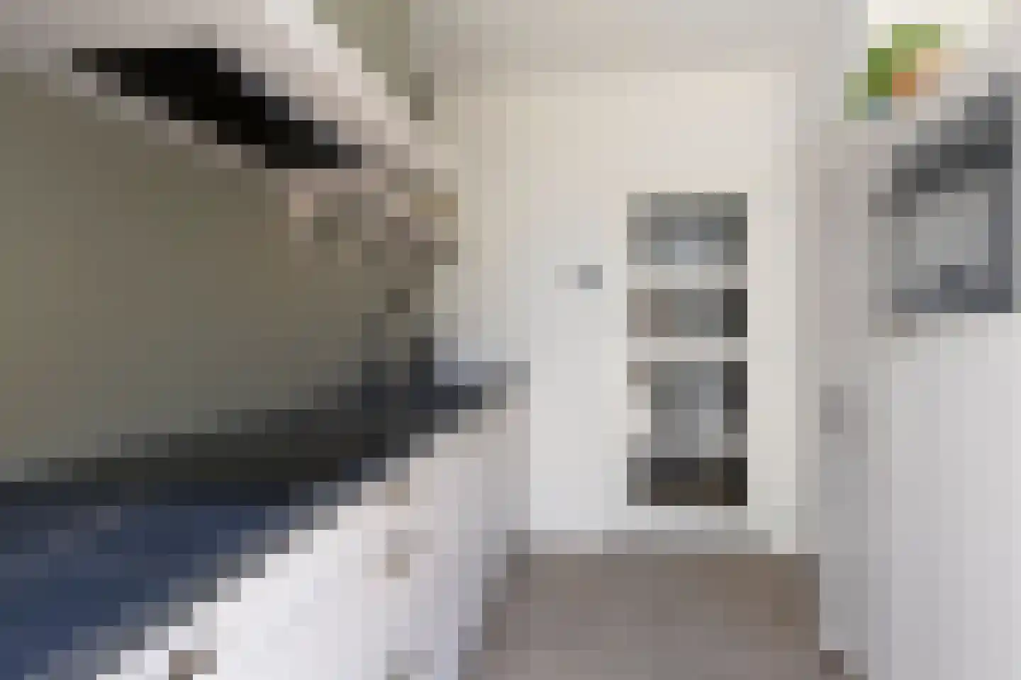 Heischeutstraat 5 Oss thumbnail 14