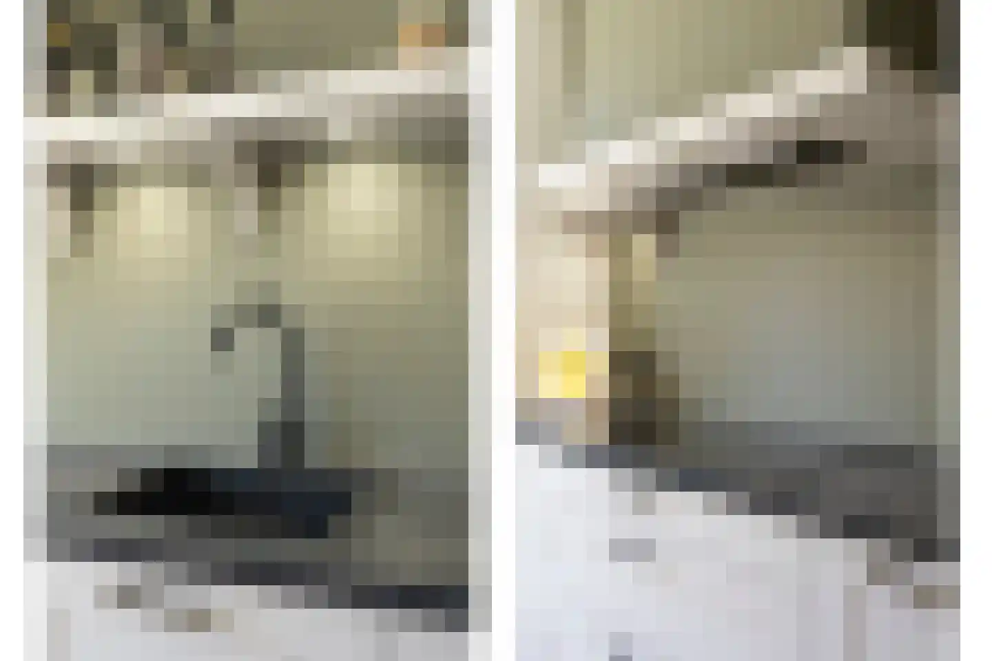 Heischeutstraat 5 Oss thumbnail 15