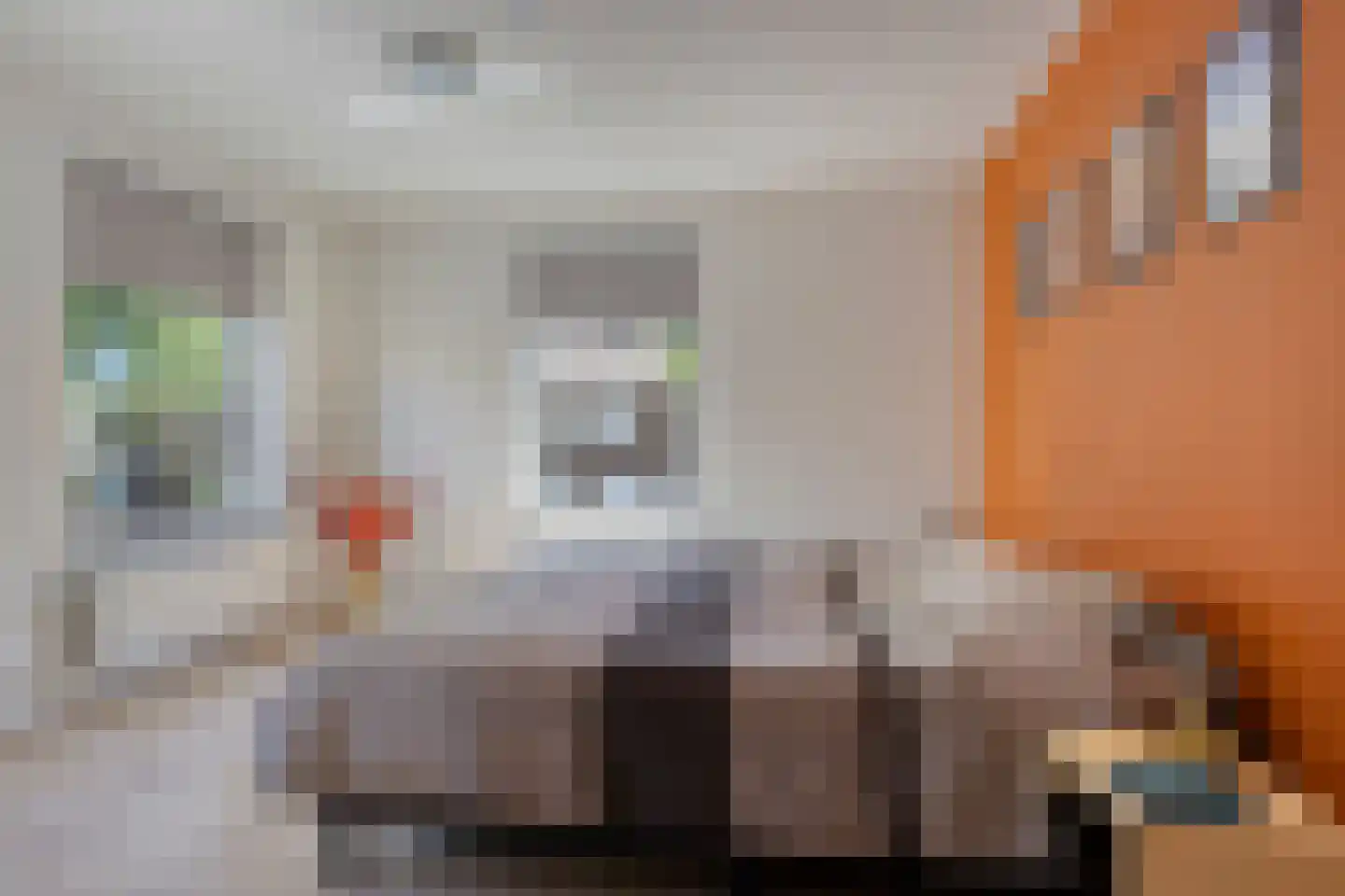 Heischeutstraat 5 Oss thumbnail 18