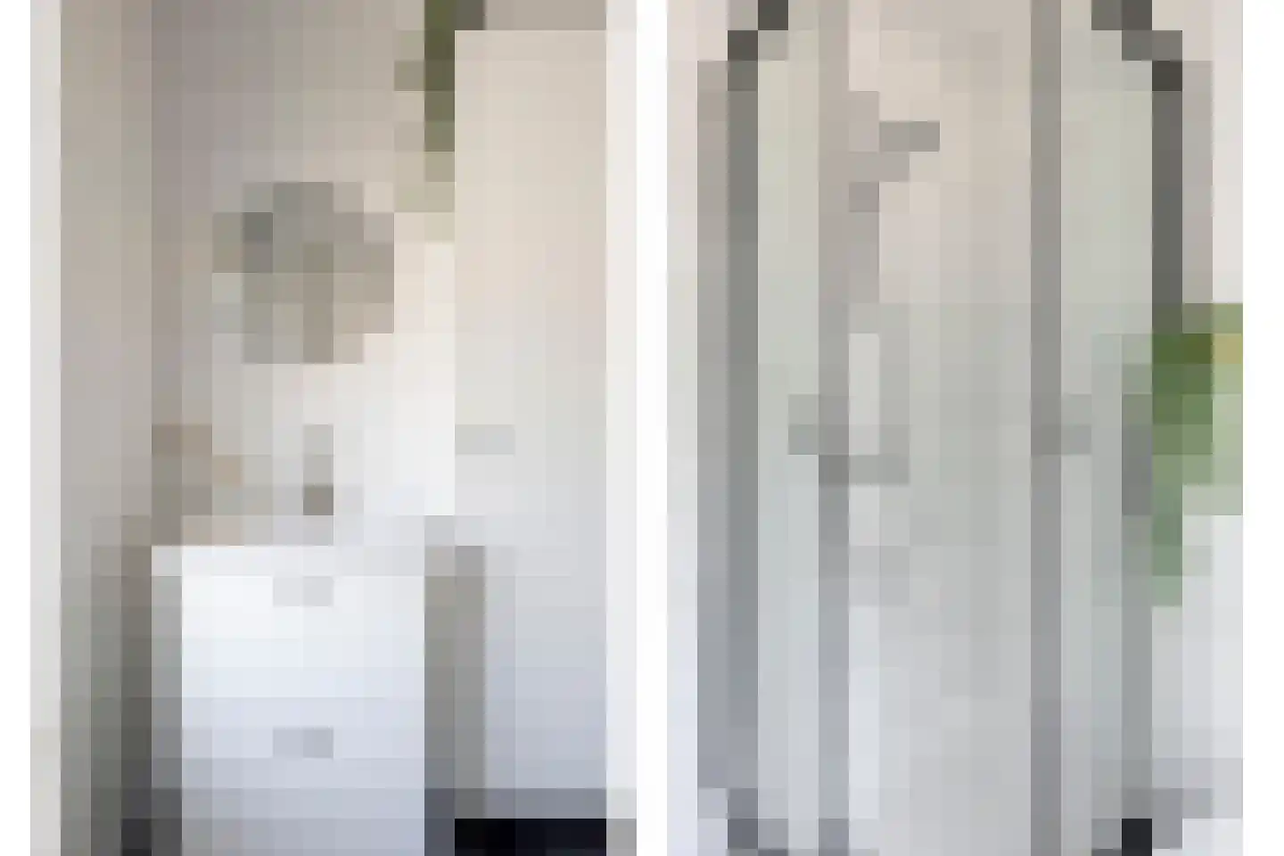 Heischeutstraat 5 Oss thumbnail 24