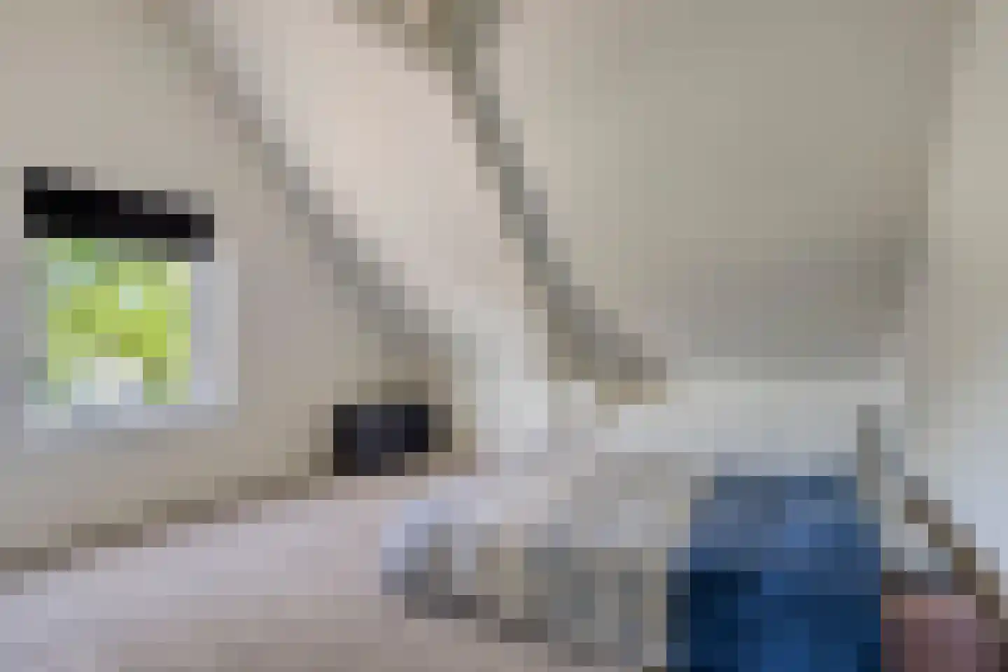 Heischeutstraat 5 Oss thumbnail 26