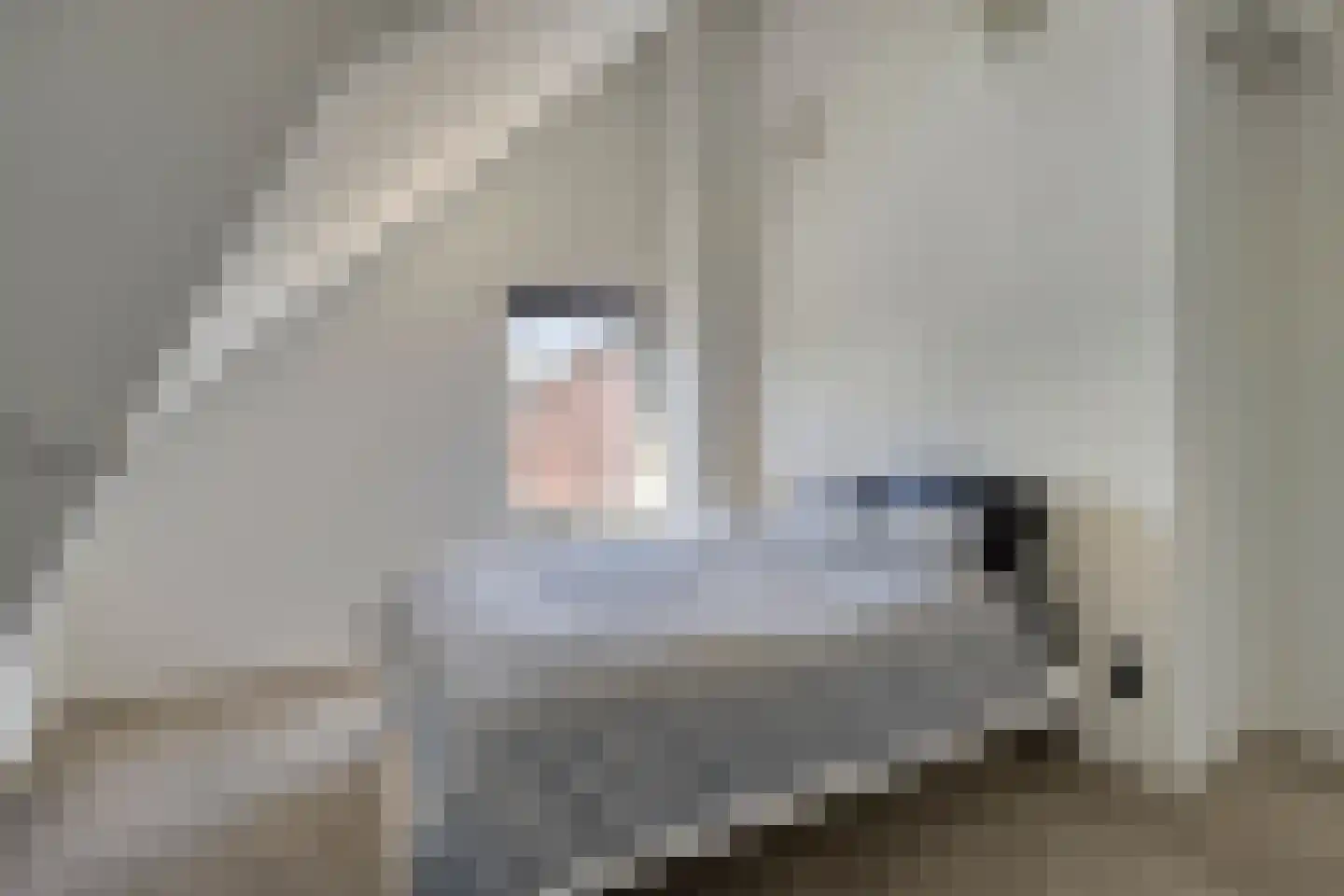 Heischeutstraat 5 Oss thumbnail 27