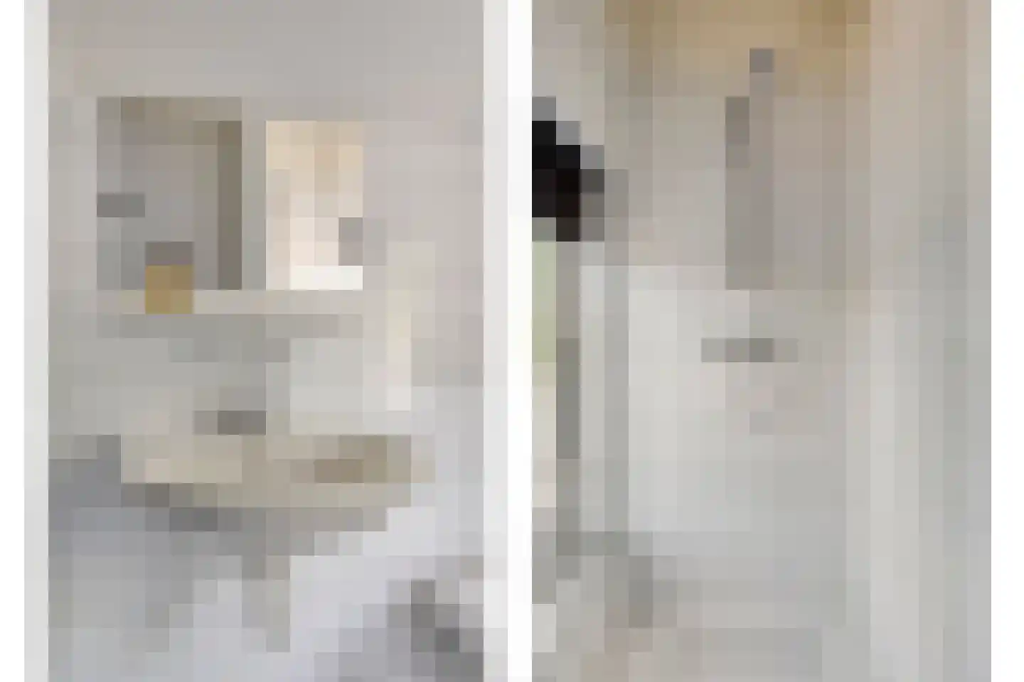 Heischeutstraat 5 Oss thumbnail 30