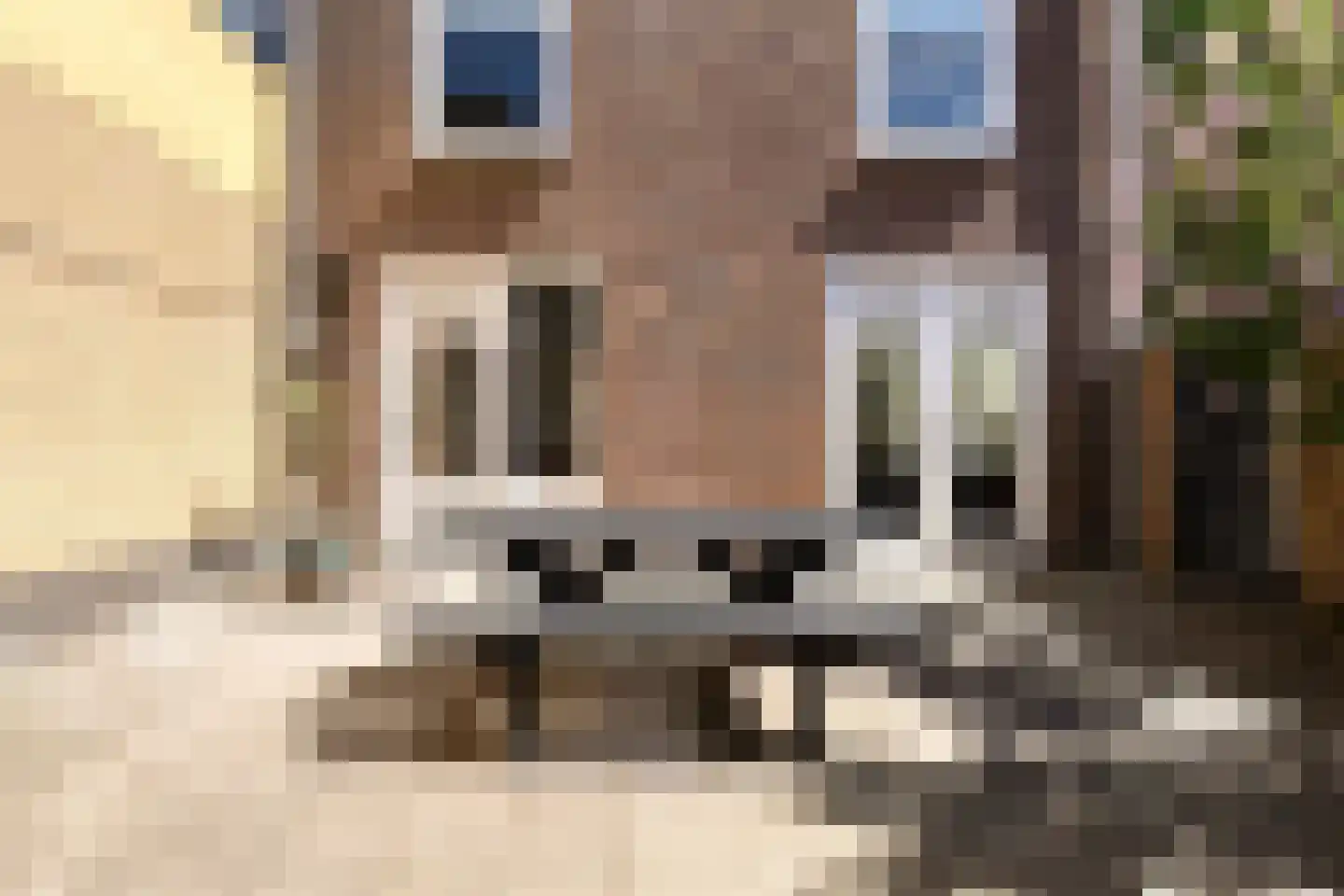 Heischeutstraat 5 Oss thumbnail 32
