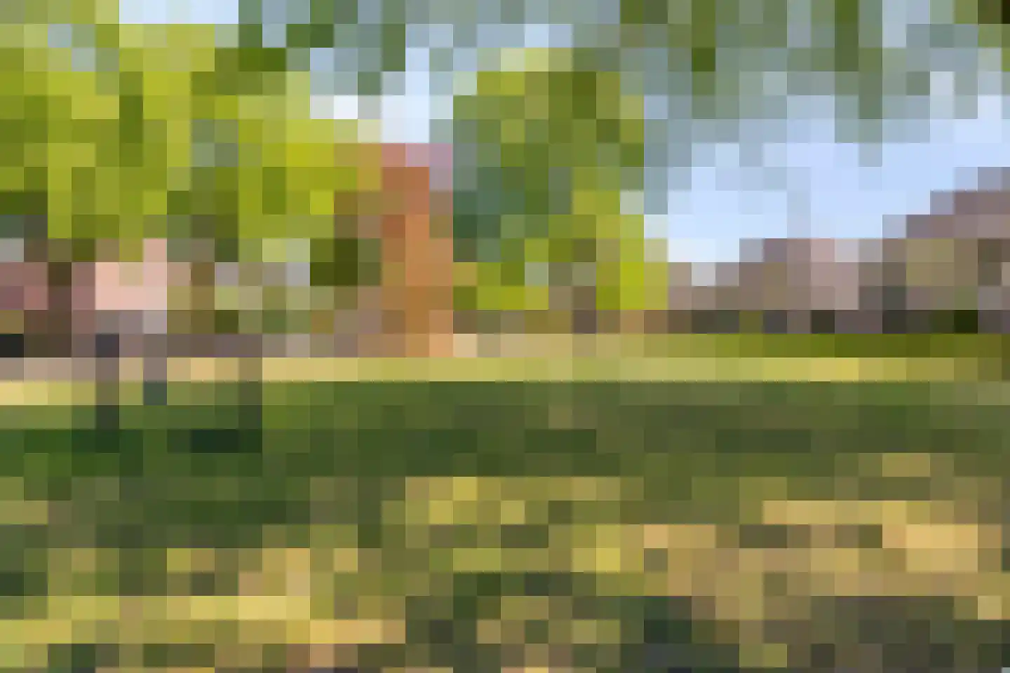Heischeutstraat 5 Oss thumbnail 36